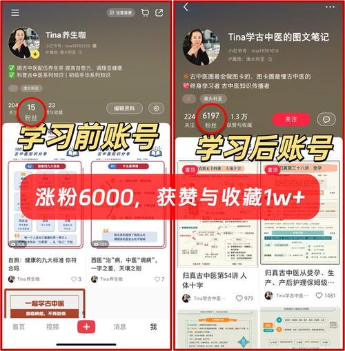 小红书低价刷粉app