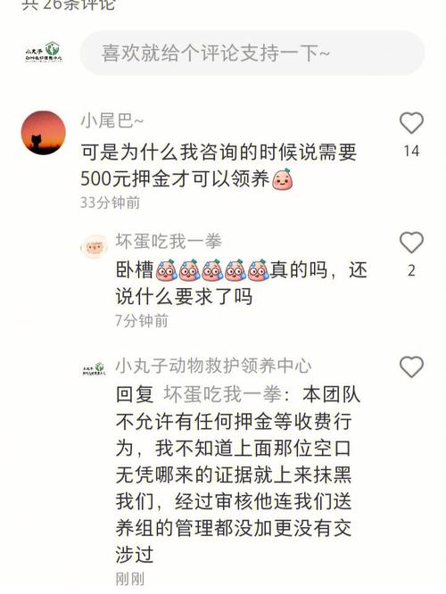 小红书有偿刷赞收藏