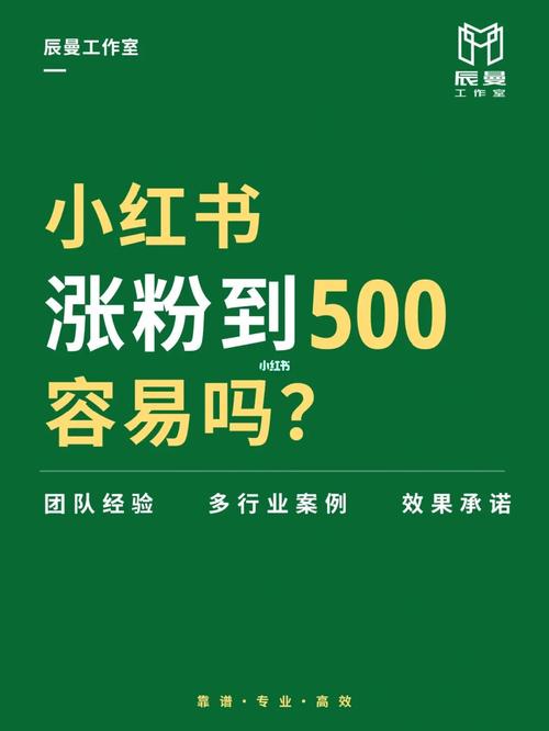 小红书买100万粉_小红书买粉后的真实体验：从新手到高手的成长之路