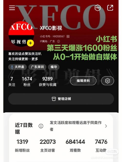 小红书买100万粉_小红书买粉后的真实体验：从新手到高手的成长之路