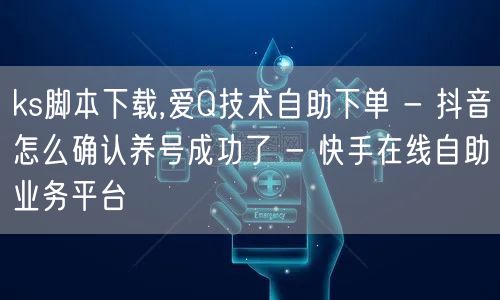 ks脚本下载,爱Q技术自助下单 - 抖音