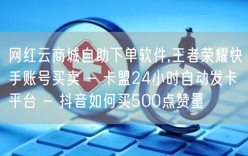 网红云商城自助下单软件,王者荣耀快手账号