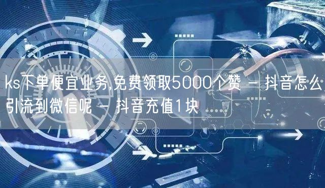 ks下单便宜业务,免费领取5000个赞 