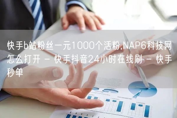 快手b站粉丝一元1000个活粉,NAP6