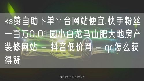 ks赞自助下单平台网站便宜,快手粉丝一百