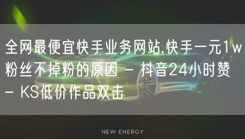 全网最便宜快手业务网站,快手一元1w粉丝