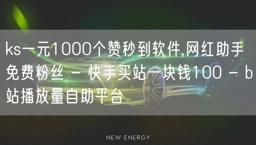 ks一元1000个赞秒到软件,网红助手免