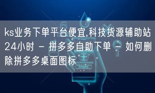 ks业务下单平台便宜,科技货源辅助站24