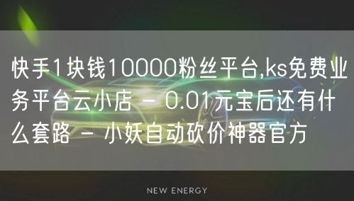 快手1块钱10000粉丝平台,ks免费业