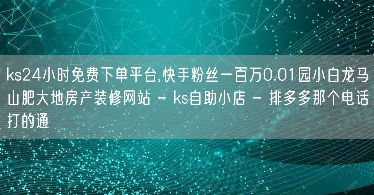 ks24小时免费下单平台,快手粉丝一百万